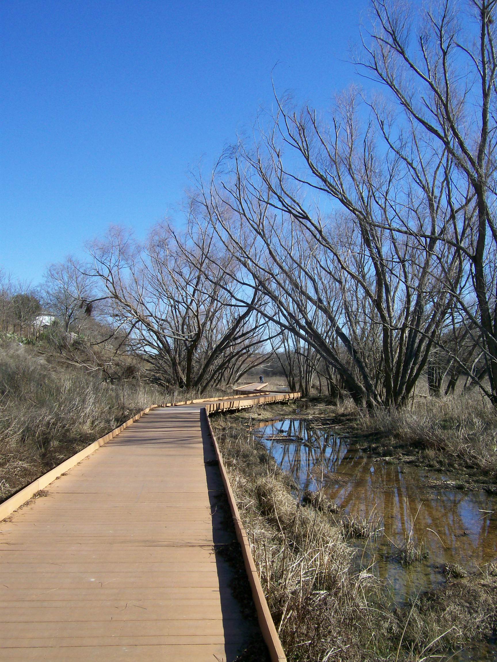Salado Creek Greenway (McAllister Park to Lady Bird Johnson Park) - San  Antonio Tourist