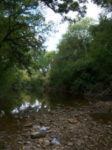 Photo of Salado Creek, near the Oakwell Trailhead