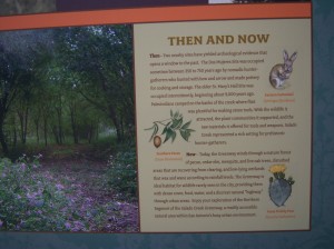 Photo of sign with Then and Now information on Salado Creek Greenway.