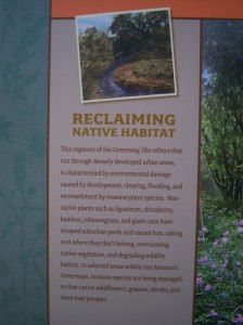 Photo of sign with Salado Creek Greenway Native Habitat information.